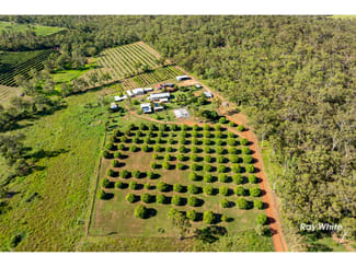 Rural / Farming commercial property sold at 765 Keppel Sands Road Coowonga QLD 4702 Rural / Farming commercial property sold at 765 Keppel Sands Road Coowonga QLD 4702