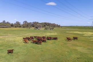 Rural / Farming commercial property for sale at Lot 3119 Brand Highway Gingin WA 6503 Rural / Farming commercial property for sale at Lot 3119 Brand Highway Gingin WA 6503