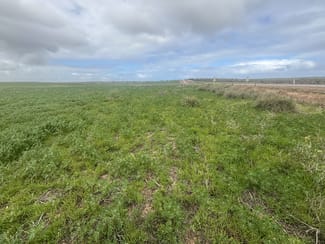 Rural / Farming commercial property sold at Lot 17 White Cliffs Road Sandy Gully WA 6535