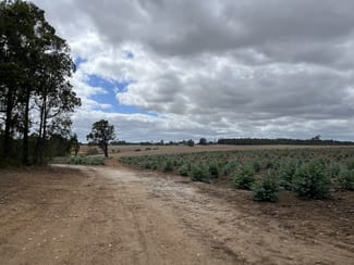 Rural / Farming commercial property sold at Lot 12913 Tannin Road Manjimup WA 6258 Rural / Farming commercial property sold at Lot 12913 Tannin Road Manjimup WA 6258