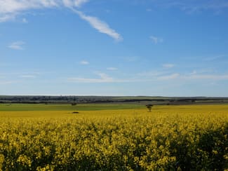 Rural / Farming commercial property for sale at 281 Kielow Road Peake SA 5301 Rural / Farming commercial property for sale at 281 Kielow Road Peake SA 5301