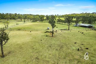Rural / Farming commercial property sold at 8667 New England Highway Muswellbrook NSW 2333