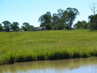 Rural / Farming commercial property sold at Bucca QLD 4670 Rural / Farming commercial property sold at Bucca QLD 4670