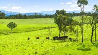 Rural / Farming commercial property sold at 474 Three Chain Road Newry VIC 3859 Rural / Farming commercial property sold at 474 Three Chain Road Newry VIC 3859