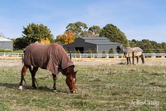 Rural / Farming commercial property for sale at Lot 4/203 Sharpes Road Miners Rest VIC 3352 Rural / Farming commercial property for sale at Lot 4/203 Sharpes Road Miners Rest VIC 3352