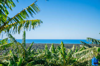 Rural / Farming commercial property for sale at 20 Puhos Road Sandy Beach NSW 2456