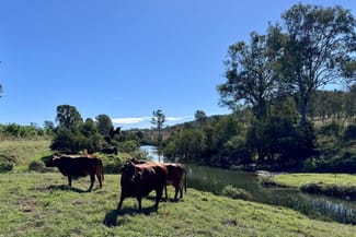 Rural / Farming commercial property for sale at 479 Bular Road Kilkivan QLD 4600