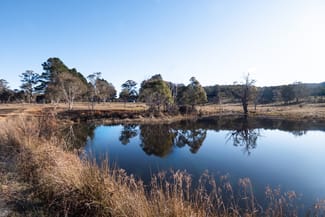 Rural / Farming commercial property for sale at 1974 Tuross Road Kybeyan NSW 2631 Rural / Farming commercial property for sale at 1974 Tuross Road Kybeyan NSW 2631