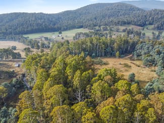 Rural / Farming commercial property sold at Lot 1 Echo Valley Road Liena TAS 7304 Rural / Farming commercial property sold at Lot 1 Echo Valley Road Liena TAS 7304
