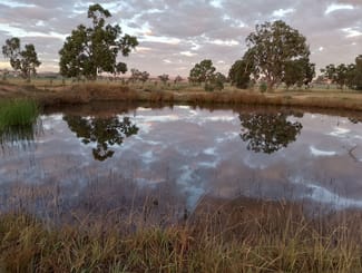 Rural / Farming commercial property sold at 14317 Golden Highway Dunedoo NSW 2844 Rural / Farming commercial property sold at 14317 Golden Highway Dunedoo NSW 2844