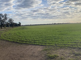 Rural / Farming commercial property sold at Stawell-Warracknabeal Road Minyip VIC 3392 Rural / Farming commercial property sold at Stawell-Warracknabeal Road Minyip VIC 3392