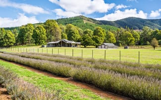 Rural / Farming commercial property for sale at 67 Jagoes Gully Road Wandiligong VIC 3744