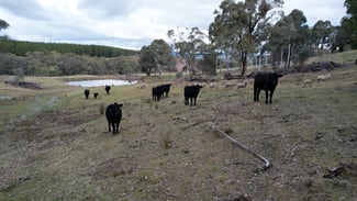 Rural / Farming commercial property for sale at Lots 1, 4, 7 Glenroy Hills Road Tumbarumba NSW 2653