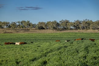Rural / Farming commercial property sold at 127 Flemings Road Jondaryan QLD 4403 Rural / Farming commercial property sold at 127 Flemings Road Jondaryan QLD 4403