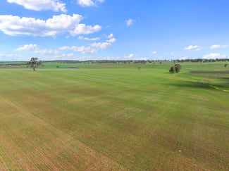 Rural / Farming commercial property sold at Lot 101 Schobers Road Auburn SA 5451 Rural / Farming commercial property sold at Lot 101 Schobers Road Auburn SA 5451