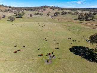 Rural / Farming commercial property for sale at 5353 Trunkey Road Trunkey Creek NSW 2795 Rural / Farming commercial property for sale at 5353 Trunkey Road Trunkey Creek NSW 2795