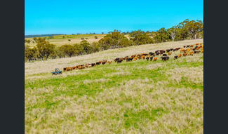 Rural / Farming commercial property for sale at Flaggs Road Merriwa NSW 2329