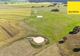 Rural / Farming commercial property sold at 231 Middletons Lane Inverell NSW 2360