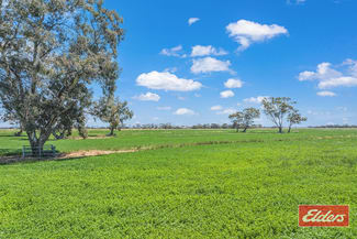 Rural / Farming commercial property for sale at 459 Echuca West School Road Echuca VIC 3564 Rural / Farming commercial property for sale at 459 Echuca West School Road Echuca VIC 3564