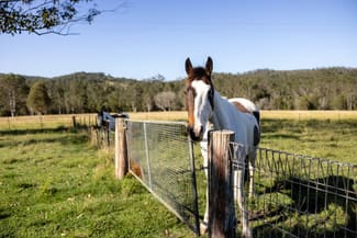 Rural / Farming commercial property sold at 29 Marylands Close Hillville NSW 2430