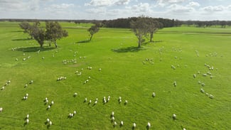 Rural / Farming commercial property for sale at 546 Bool Lagoon West Road Penola SA 5277