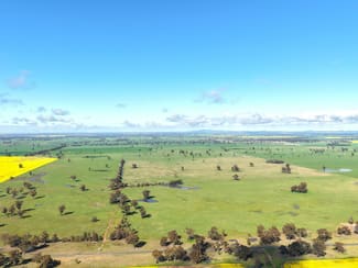 Rural / Farming commercial property for sale at 1539 Bland Road Quandialla NSW 2721 Rural / Farming commercial property for sale at 1539 Bland Road Quandialla NSW 2721