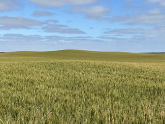 Rural / Farming commercial property sold at 163 McAskill Road Karkoo SA 5632