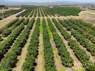 Rural / Farming commercial property for sale at 1611 Mareeba-Dimbulah Arriga QLD 4880