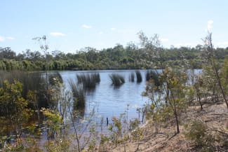 Rural / Farming commercial property for sale at 13/ Barnards Road Moorland QLD 4670 Rural / Farming commercial property for sale at 13/ Barnards Road Moorland QLD 4670