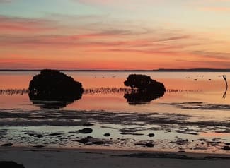 Rural / Farming commercial property for sale at 156 Coast Road French Island VIC 3921 Rural / Farming commercial property for sale at 156 Coast Road French Island VIC 3921