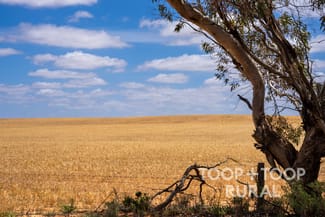 Rural / Farming commercial property for sale at 2167 Bakara Road Galga SA 5308 Rural / Farming commercial property for sale at 2167 Bakara Road Galga SA 5308