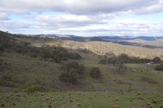 Rural / Farming commercial property for sale at 1453 Windeyer Road Mudgee NSW 2850