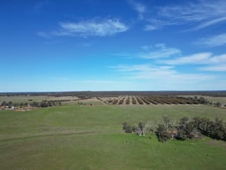 Rural / Farming commercial property for sale at 603 Charcoal Tank Road West Wyalong NSW 2671 Rural / Farming commercial property for sale at 603 Charcoal Tank Road West Wyalong NSW 2671