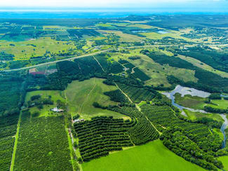 Rural / Farming commercial property for sale at 323 Alcorn Road Knockrow NSW 2479 Rural / Farming commercial property for sale at 323 Alcorn Road Knockrow NSW 2479