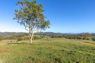 Rural / Farming commercial property for sale at 2898 The Bucketts Way Stroud NSW 2425 Rural / Farming commercial property for sale at 2898 The Bucketts Way Stroud NSW 2425