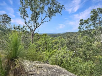 Rural / Farming commercial property for sale at 112 Finchley Track Laguna NSW 2325