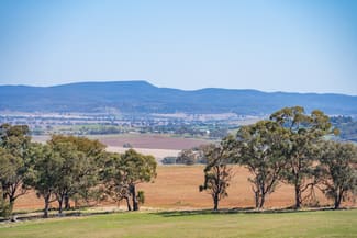 Rural / Farming commercial property for sale at 306 Moola Road Canowindra NSW 2804