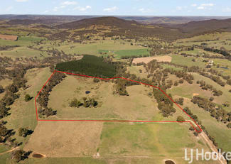 Rural / Farming commercial property for sale at Meadow Flat NSW 2795