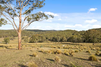 Rural / Farming commercial property for sale at 507 Harolds Cross Road Braidwood NSW 2622