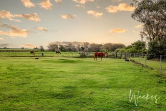 Rural / Farming commercial property for sale at 42 Kleins Road Woongarra QLD 4670