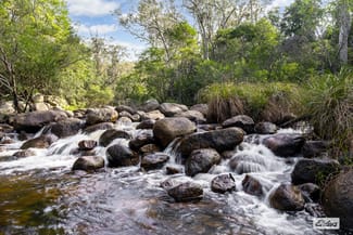 Rural / Farming commercial property for sale at 3784 Snowy Mountains Highway Bemboka NSW 2550