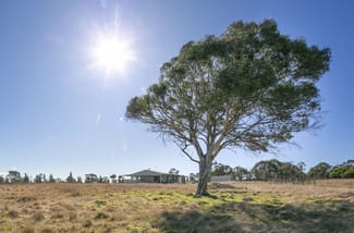 Rural / Farming commercial property sold at 175 Jinglemoney Road Braidwood NSW 2622