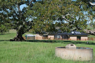 Rural / Farming commercial property for sale at 49 Hicks Road Spring Grove NSW 2470 Rural / Farming commercial property for sale at 49 Hicks Road Spring Grove NSW 2470