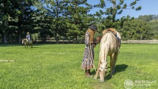 Rural / Farming commercial property for sale at 584 The Pocket Road The Pocket NSW 2483
