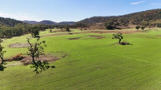 Rural / Farming commercial property for sale at Gulgong NSW 2852