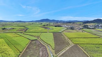 Rural / Farming commercial property for sale at 44 Gladys Road Dumbleton QLD 4740