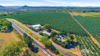 Rural / Farming commercial property for sale at 292 Channel Road Walkamin QLD 4872 Rural / Farming commercial property for sale at 292 Channel Road Walkamin QLD 4872