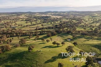 Rural / Farming commercial property for sale at Lot/197 Craneford Road Flaxman Valley SA 5235