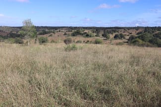 Rural / Farming commercial property for sale at 20963 Burnett Highway Mundubbera QLD 4626 Rural / Farming commercial property for sale at 20963 Burnett Highway Mundubbera QLD 4626