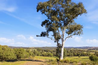 Rural / Farming commercial property for sale at Lot 1/872 Dicks Creek Road Murrumbateman NSW 2582 Rural / Farming commercial property for sale at Lot 1/872 Dicks Creek Road Murrumbateman NSW 2582